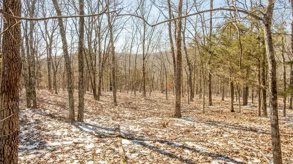 Ironton, MO 63650,0 CR 39C