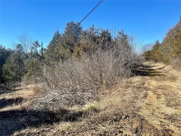 2669 Frederick RD,  Festus,  MO 63028