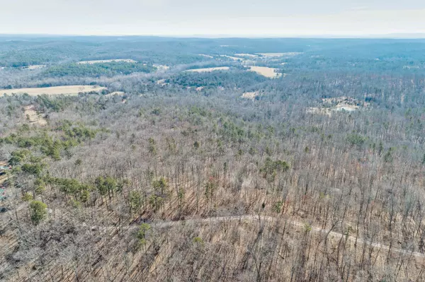 Potosi, MO 63664,0 Lot 19 Scarlet Ridge