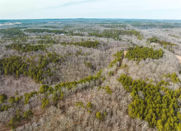 0 Paddy Chapel Road- Tract 14, Roby, MO 65557