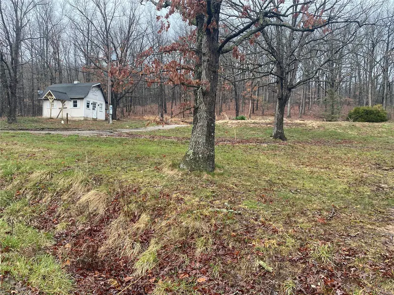 556 County road 102, Ironton, MO 63650