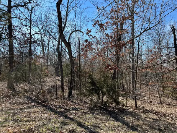 Phillipsburg, MO 65722,18 Monroe DR