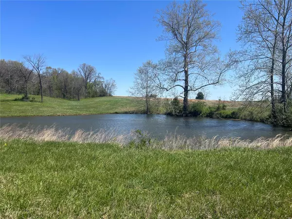 Fredericktown, MO 63645,1 CR 528