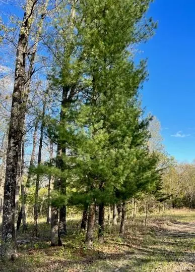 Owensville, MO 65066,1 Hecker RD