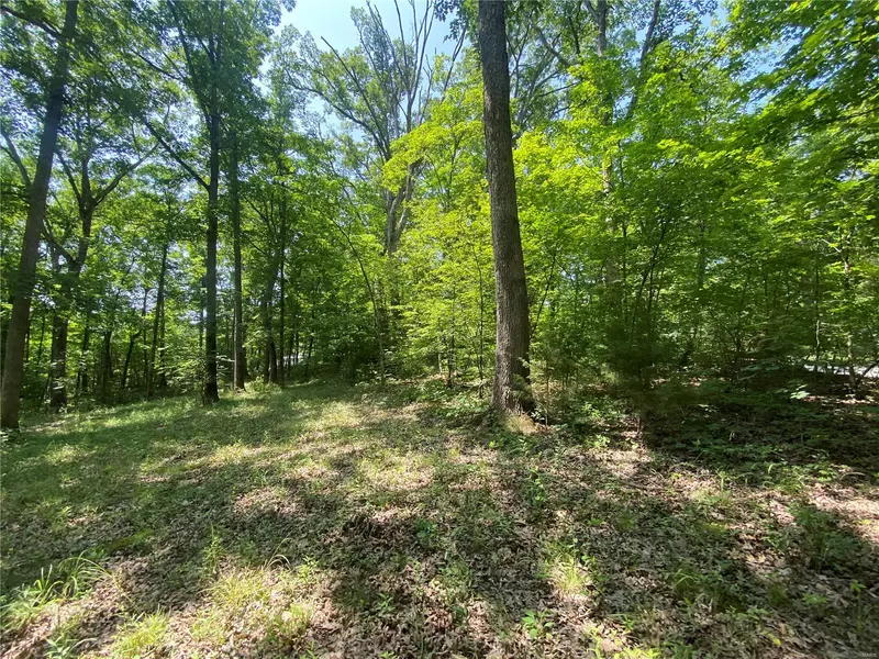 128 S Skyline DR, New Florence, MO 63363