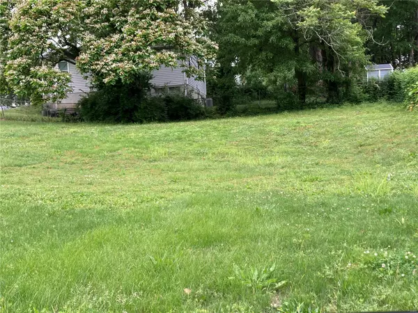 Webster Groves, MO 63119,17 E Ravine
