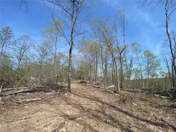 Bunker, MO 63629,0 County Road 846