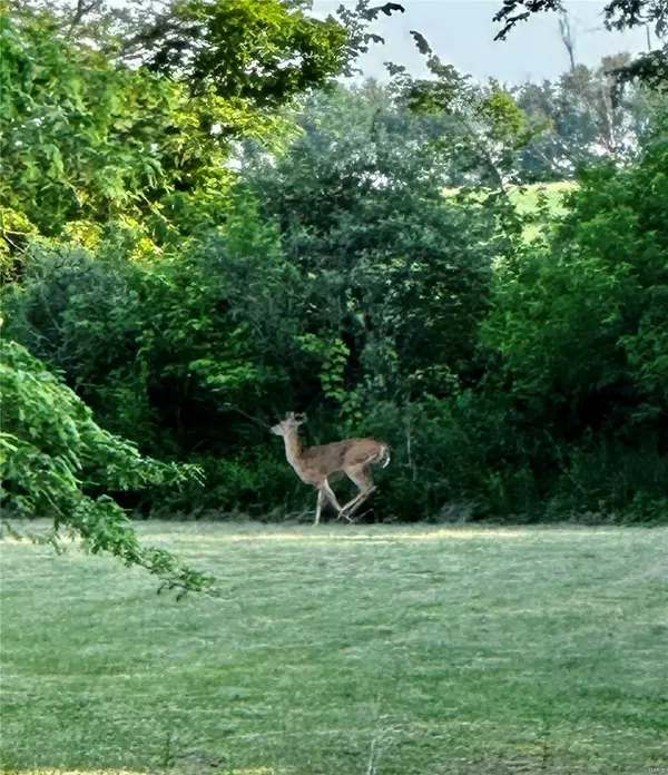 Vandalia, MO 63382,52331 Bluebird LN