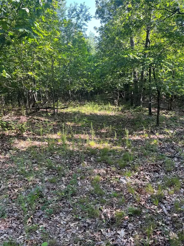 Piedmont, MO 63957,0 County Road 434