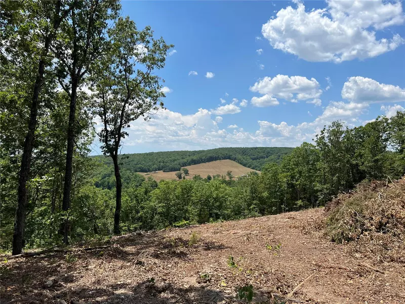 0 Stillwater Road, Laquey, MO 65534