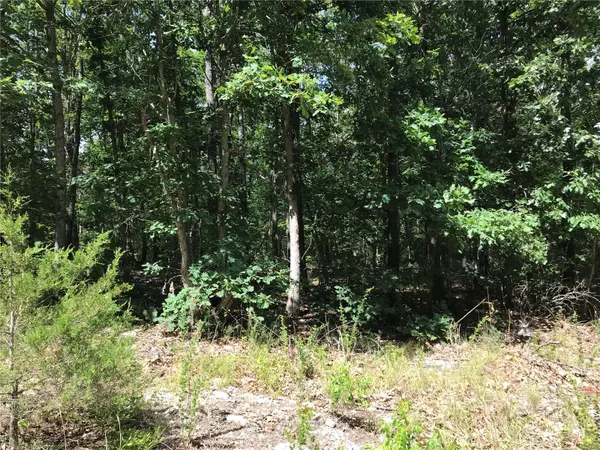 Salem, MO 65560,0 County Rd 4090