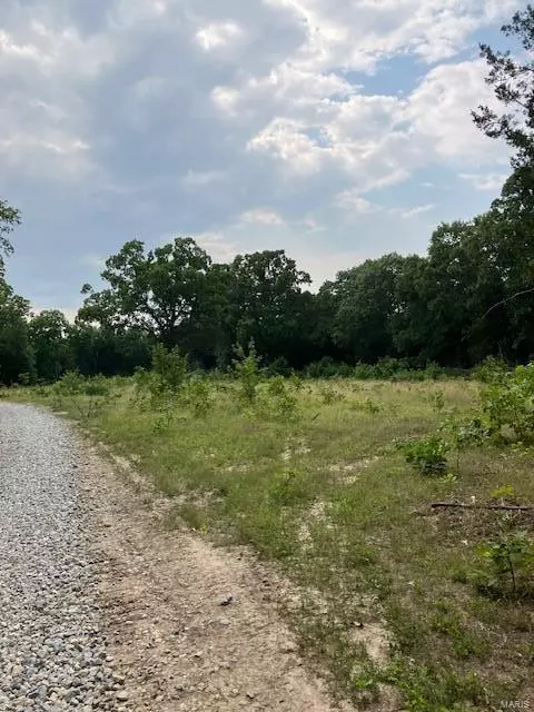 Park Hills, MO 63601,8 Simms RD
