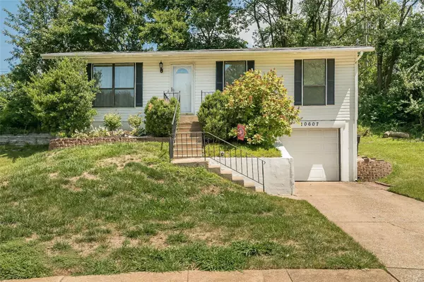 St Ann, MO 63074,10607 Saint Michaels Terrace CT