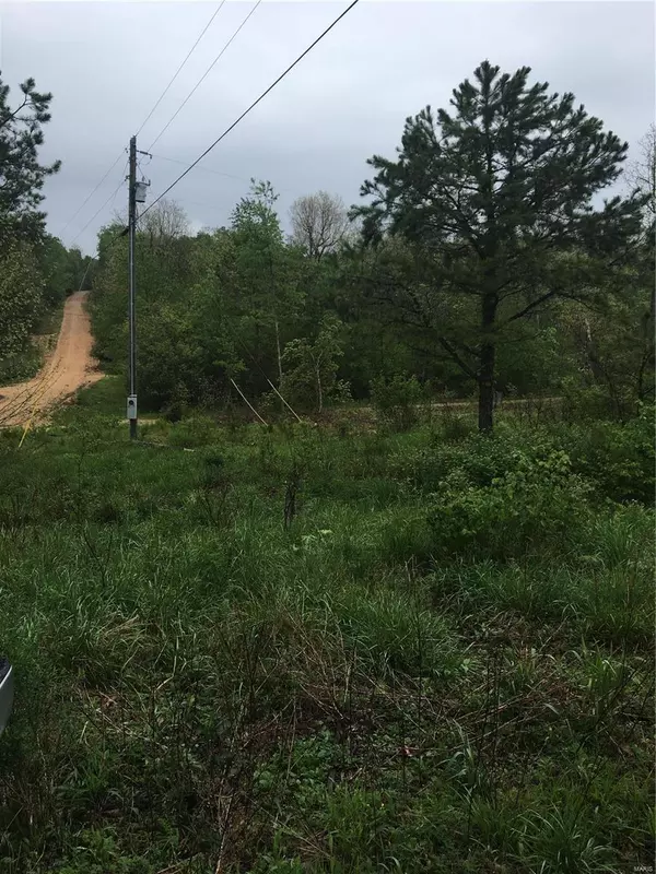 Annapolis, MO 63620,62 Walnut Hollow