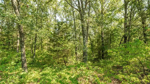 Owensville, MO 65066,1916 KRAUSETOWN RD