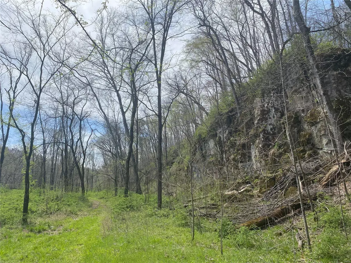 Bunker, MO 65440,0 County Road 846