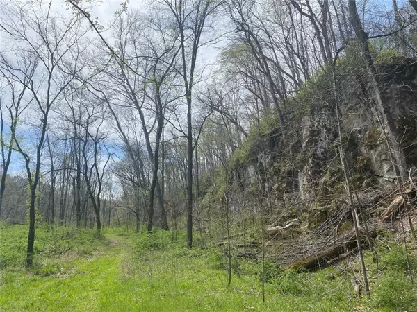 0 County Road 846, Bunker, MO 65440