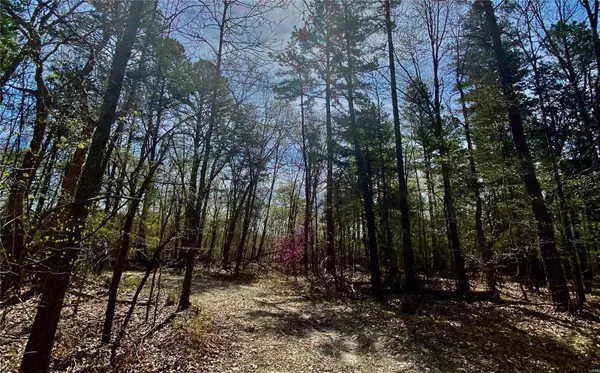 Bunker, MO 65440,0 County Road 846