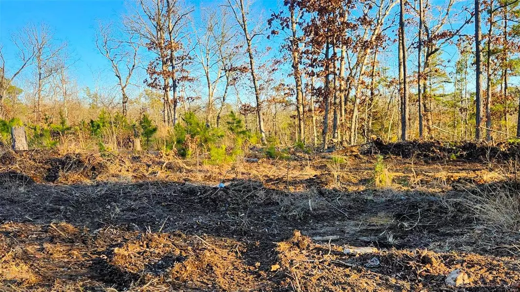 40 Acres Highway T, Potosi, MO 63071