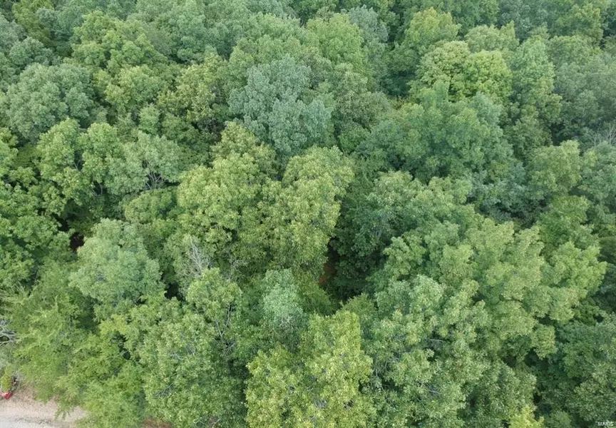 0 Hwy 51, Marble Hill, MO 63764