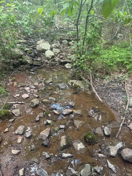 8 Church Road (CR 114), Annapolis, MO 63620