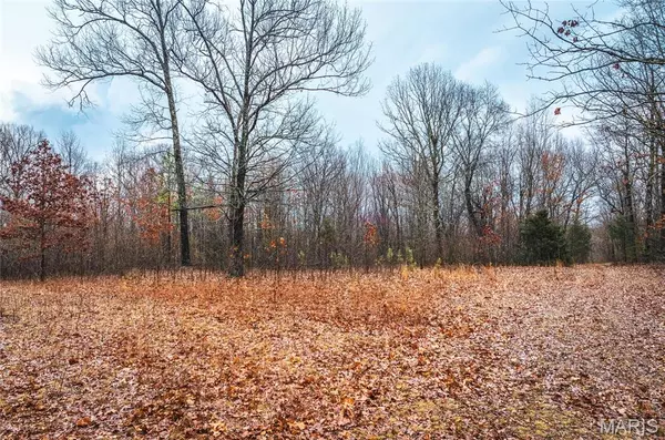 Bourbon, MO 65441,0 Christy Mine RD