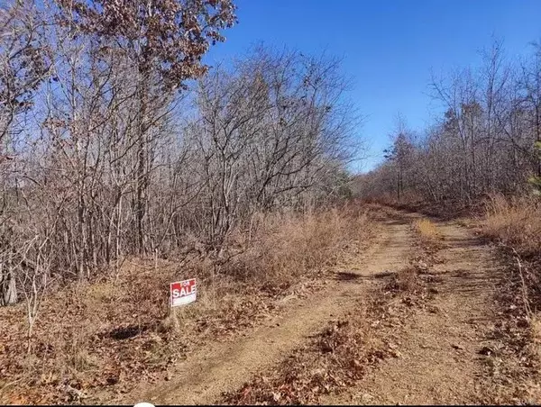 Bunker, MO 63629,0 County Road 258