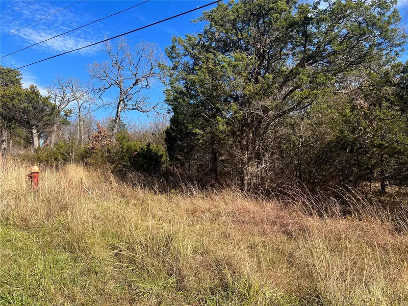 1 Napoleon DR, Bonne Terre, MO 63628
