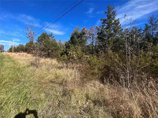 Bonne Terre, MO 63628,0 Napoleon DR