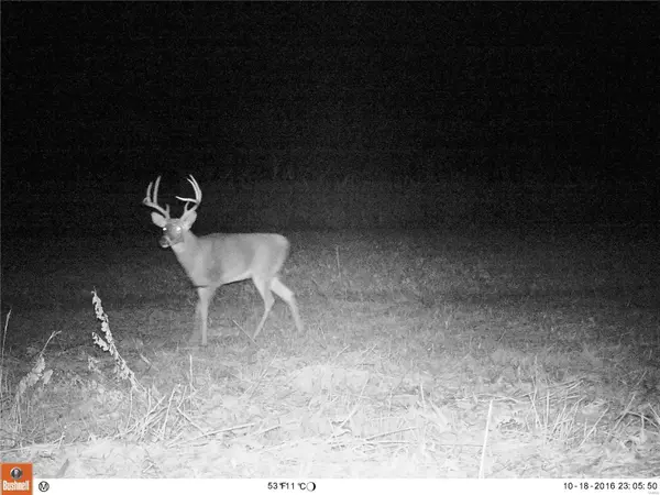 Hermann, MO 65041,0 Steinbeck 52.21+\- Acres RD