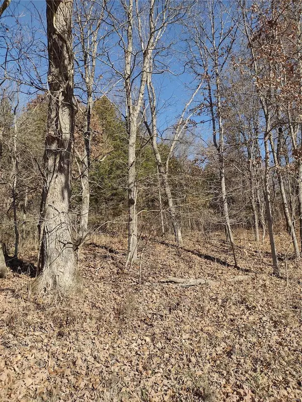 New Florence, MO 63363,0 Mills Creek Road