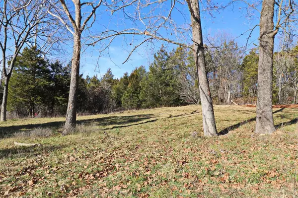 Cadet, MO 63630,10076 Oakleaf RD