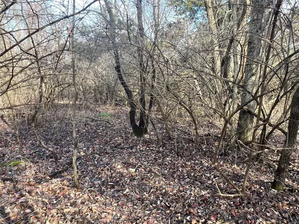 Foley, MO 63347,0 Blue Bird Hill LN