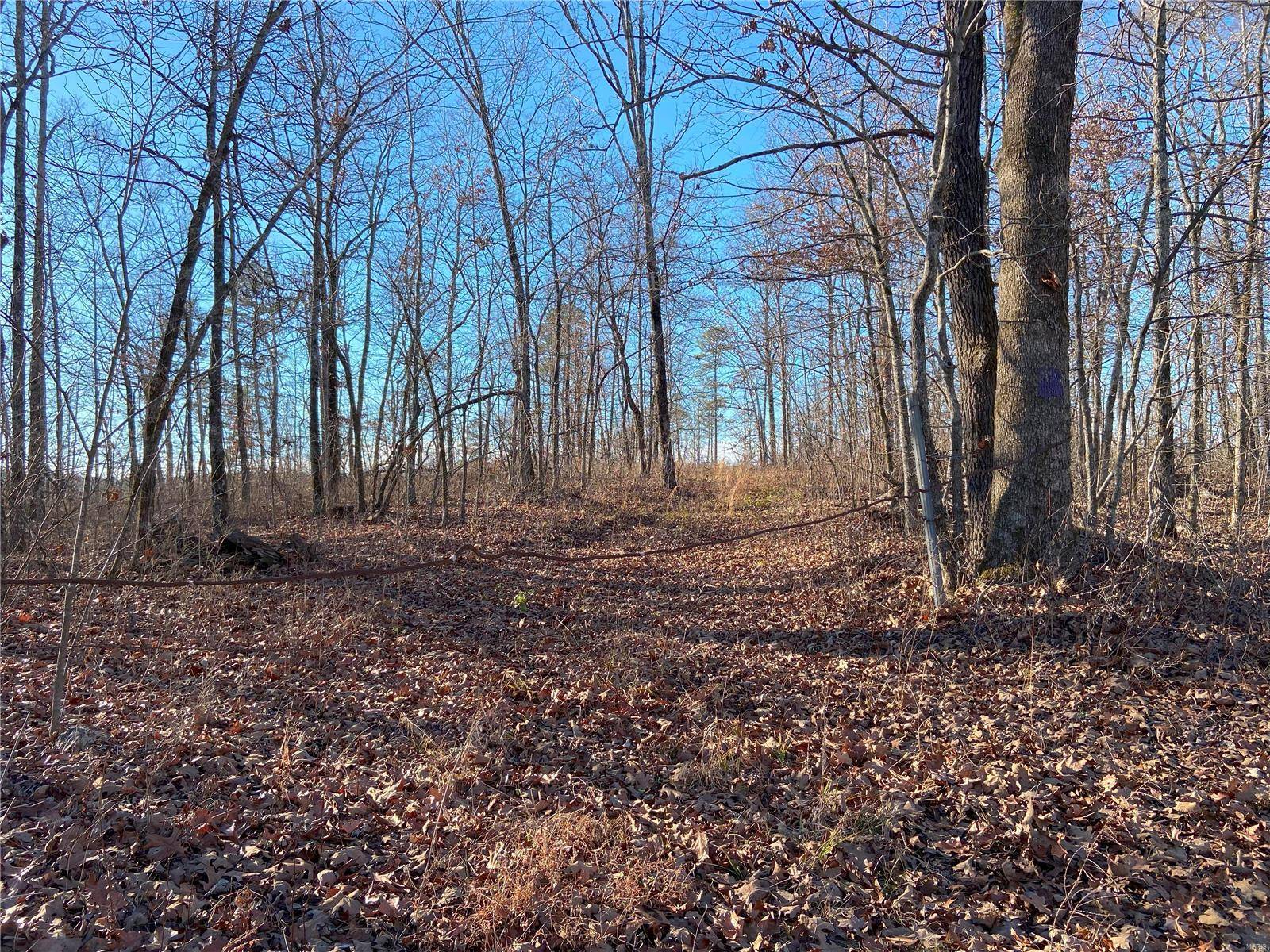 0 Co Rd 424, Williamsville, MO 63967