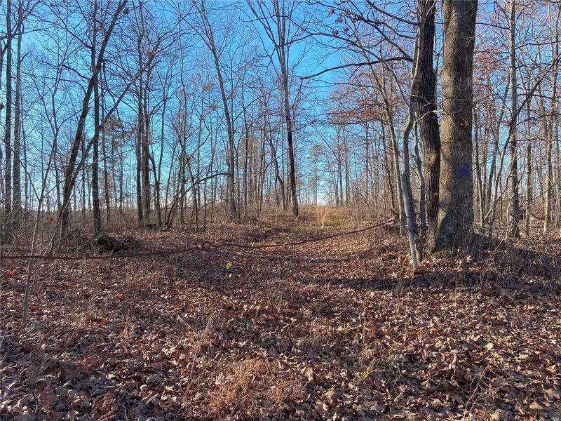 0 Co Rd 424, Williamsville, MO 63967