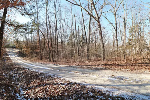 De Soto, MO 63020,0 (0.39 acre lot) Southlake DR