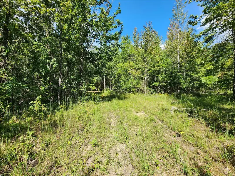 290 Jacoby Lane, Wappapello, MO 63966