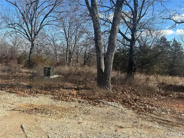 Mineral Point, MO 63660,0 Ozarks Heights