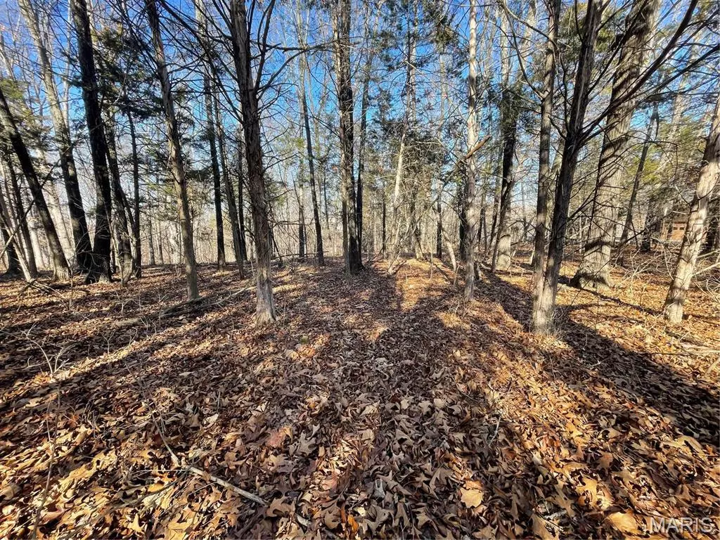 Hillsboro, MO 63050,9 Hickory Ridge Road
