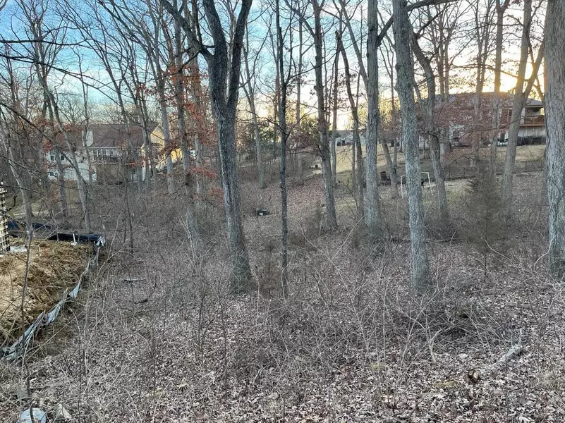 321 Incline Village(Fairway North), Unincorporated, MO 63348