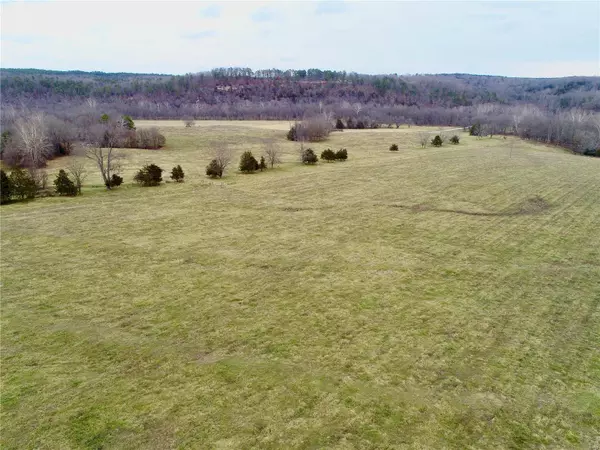 Licking, MO 65542,0 Piney Ridge Drive Lot 46
