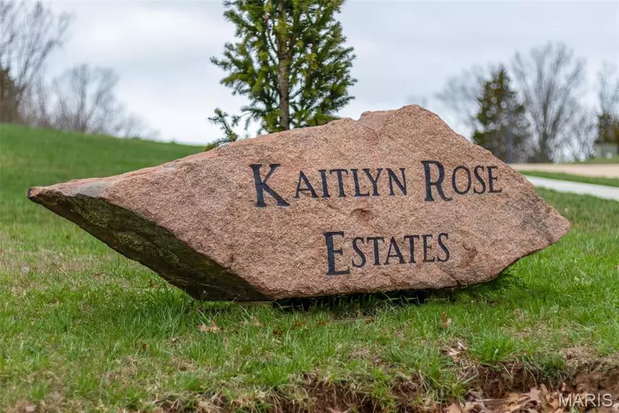 4629 Dylan (lot 8) DR, De Soto, MO 63020