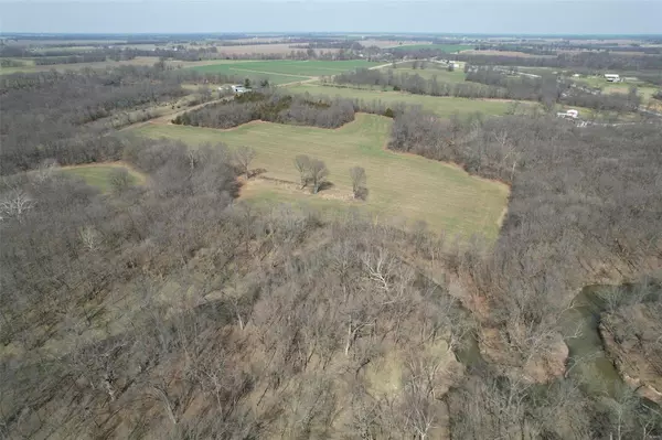 Mexico, MO 65265,0 Lot #8 - State Hwy 15