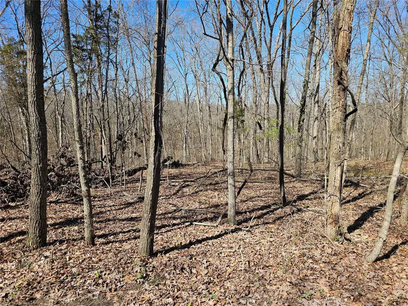 0 Autumn Leaf LN, Robertsville, MO 63072