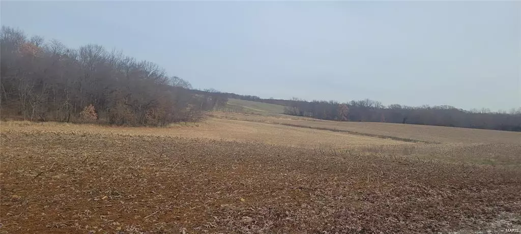 Anabel, MO 63431,60 Orbit RD