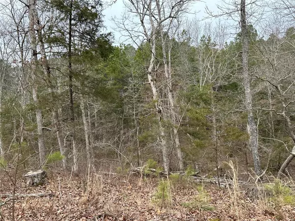 0 CR 355, Dora, MO 65637