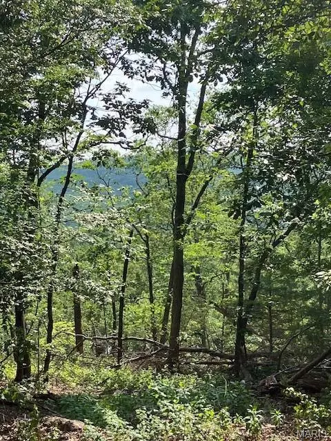 Park Hills, MO 63601,21 Simms RD