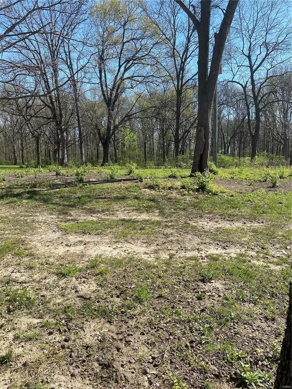 Mount Olive, IL 62069,7641 S Panther Creek Rd