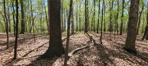 Warrenton, MO 63383,0 Spring Branch RD