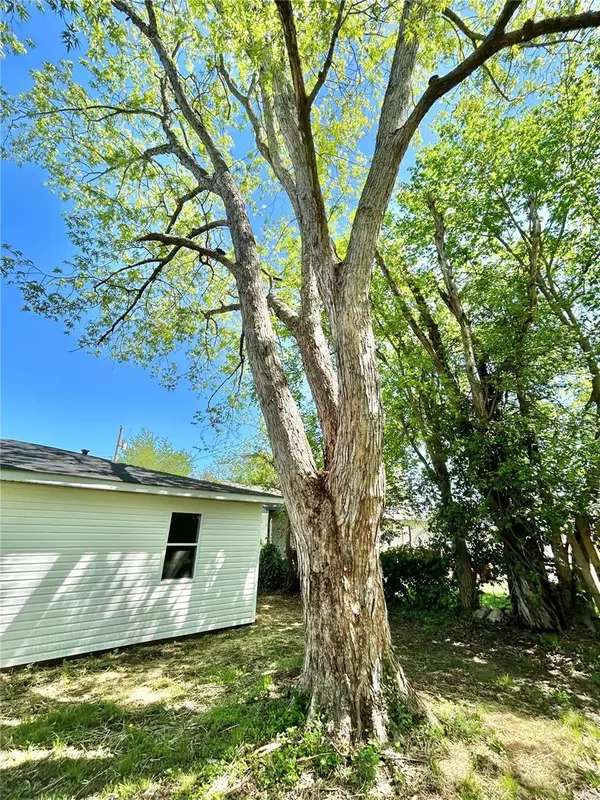 Salem, MO 65560,805 E Ellis ST